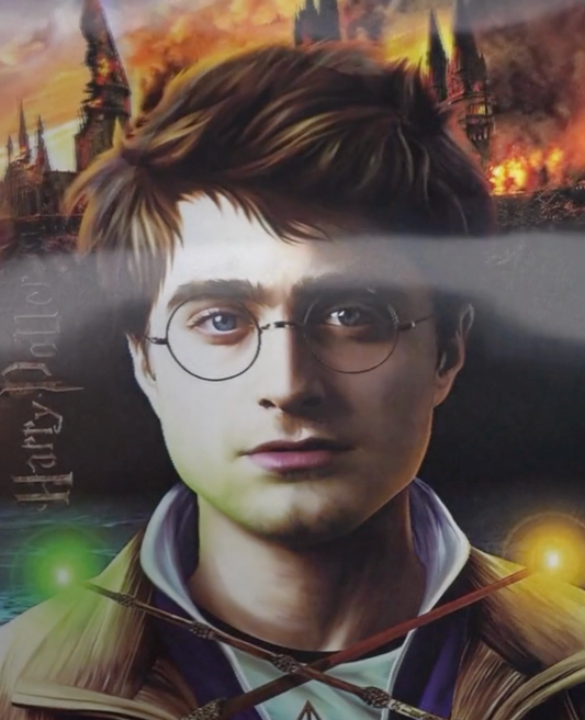 3D Tribute Frame – Harry potter